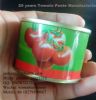 2200gx6tins canned tomato paste double concentration